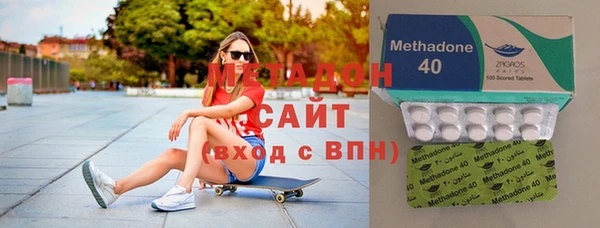 индика Козельск