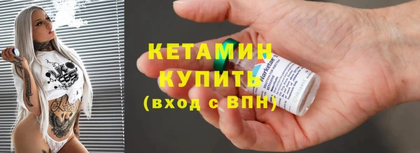 индика Козельск