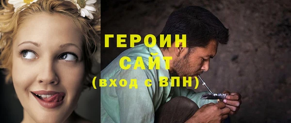 индика Козельск