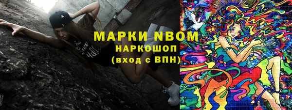 ешки Корсаков