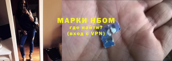 индика Костерёво