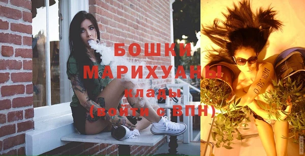 индика Костерёво