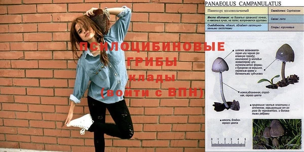 спайс Кодинск