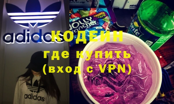 индика Козельск