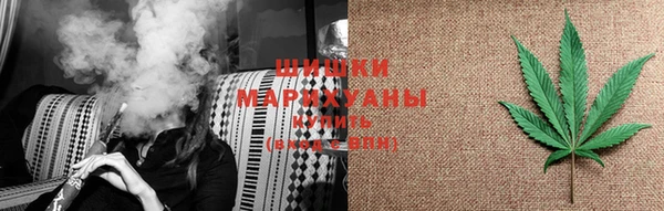 индика Козельск
