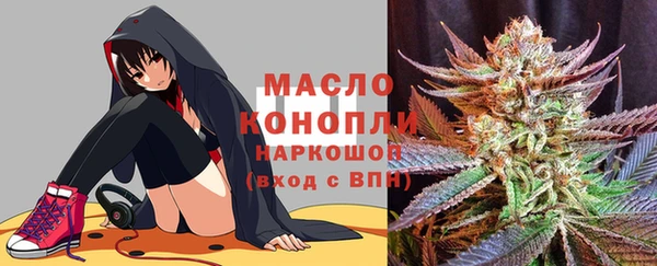 индика Костерёво