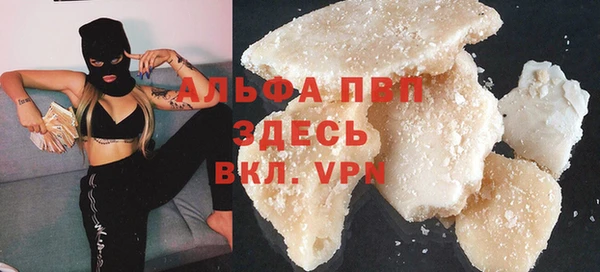 индика Козельск