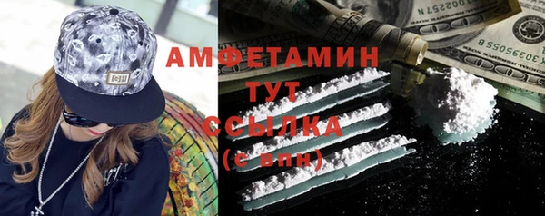 индика Козельск