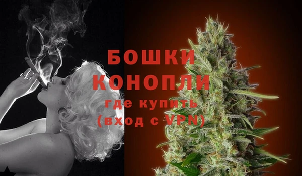 спайс Кодинск