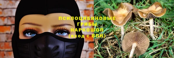 индика Козельск