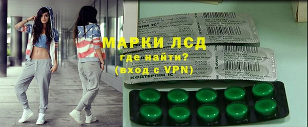 индика Костерёво