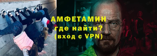 индика Козельск