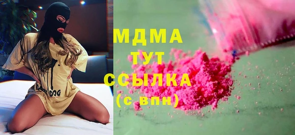 индика Костерёво