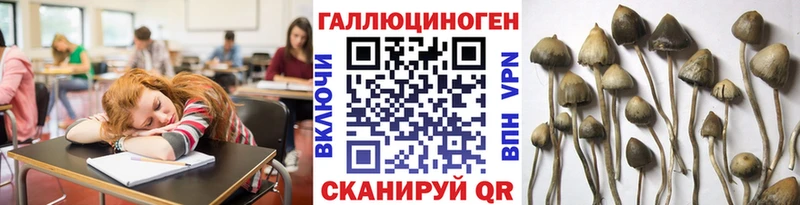 Псилоцибиновые грибы прущие грибы МЕГА зеркало Красноуфимск