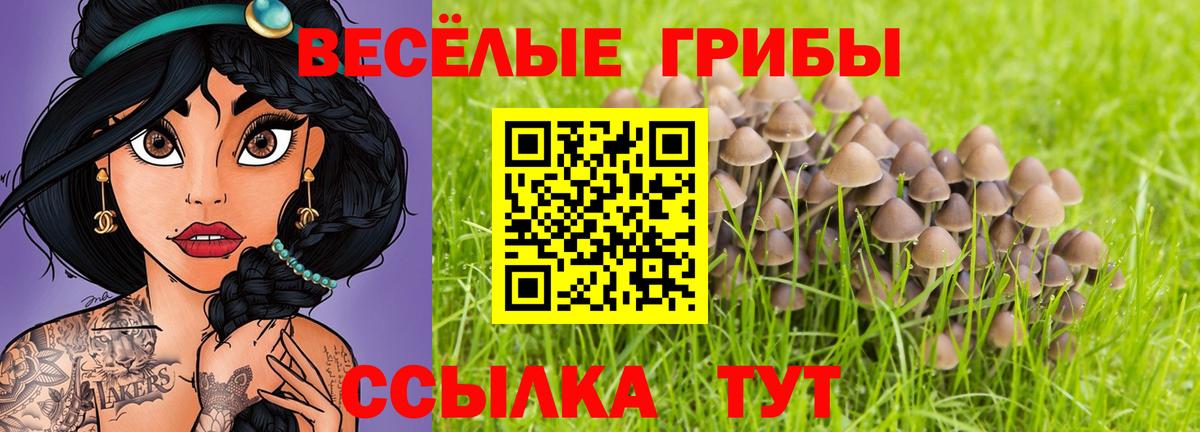 Галлюциногенные грибы MAGIC MUSHROOMS  Псилоцибиновые грибы мухоморы  Вход с VPN  Красноуфимск 